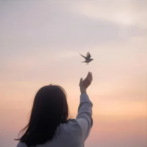 تعادل در غذا، تعادل در خدمت