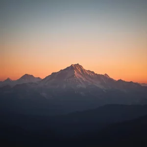 رفتار بیمار گونه در oa