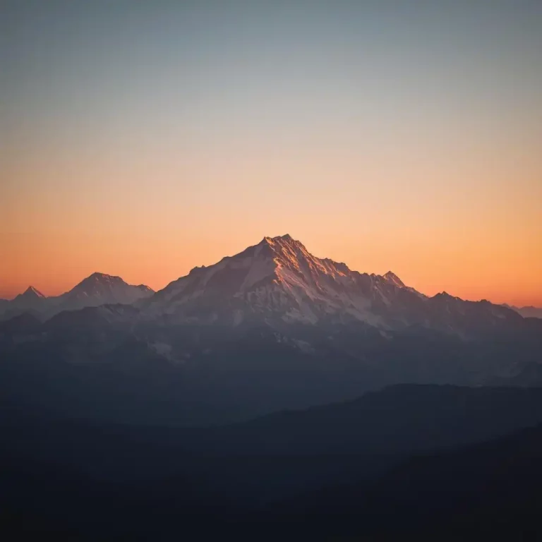 رفتار بیمار گونه در oa