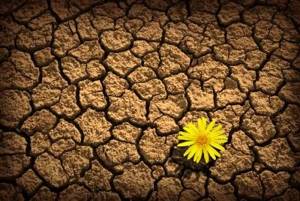 ۲۴. مفهوم متنوع لغزش و عود در هشت دسته اختلال خوردن
