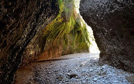 ۲۸. نافرمانی